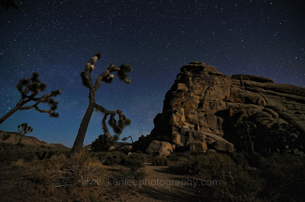 Hidden Valley Nights